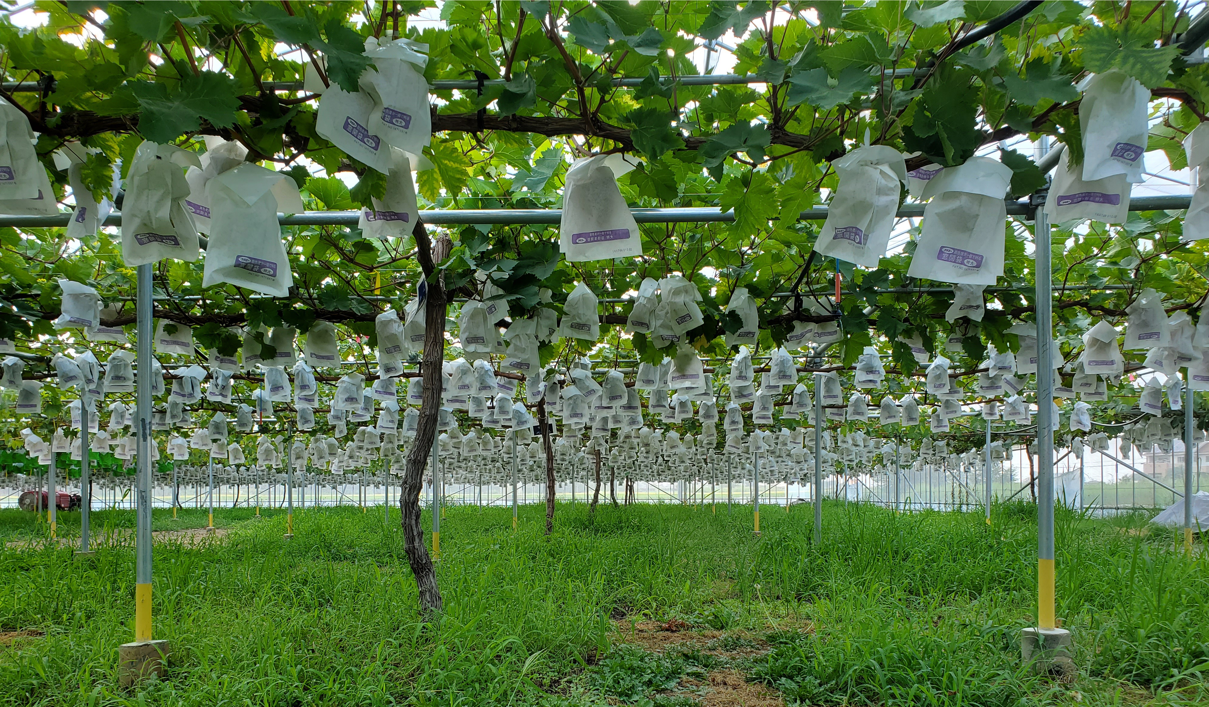 スライドショー画像3